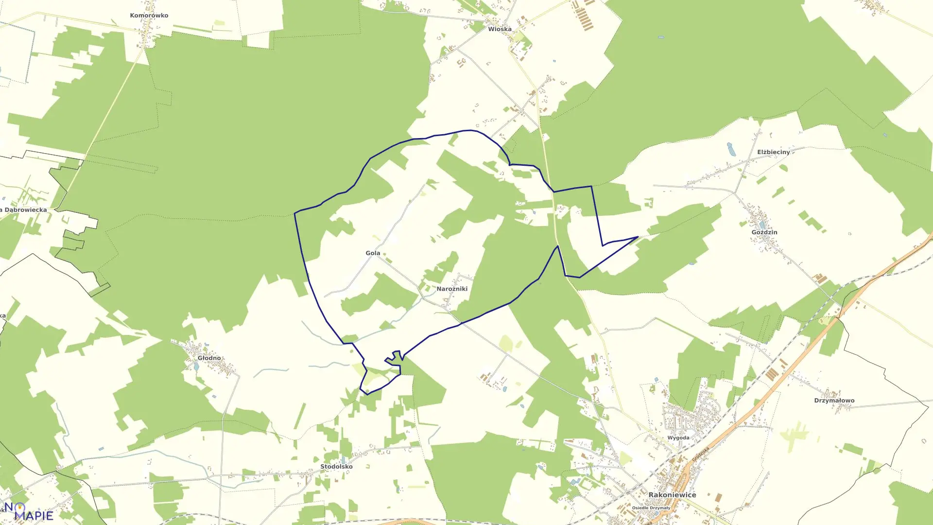 Mapa obrębu GOLA NAROŻNIKI w gminie Rakoniewice