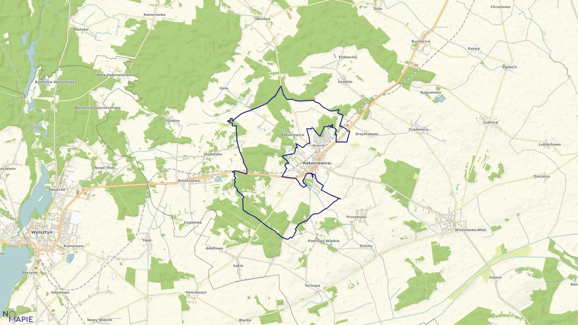 Mapa obrębu RAKONIEWICE WIEŚ w gminie Rakoniewice